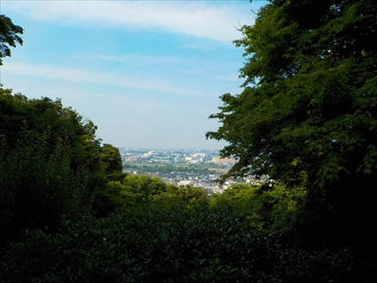 e0126875_8145242.jpg