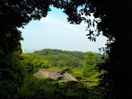 e0126875_815055.jpg
