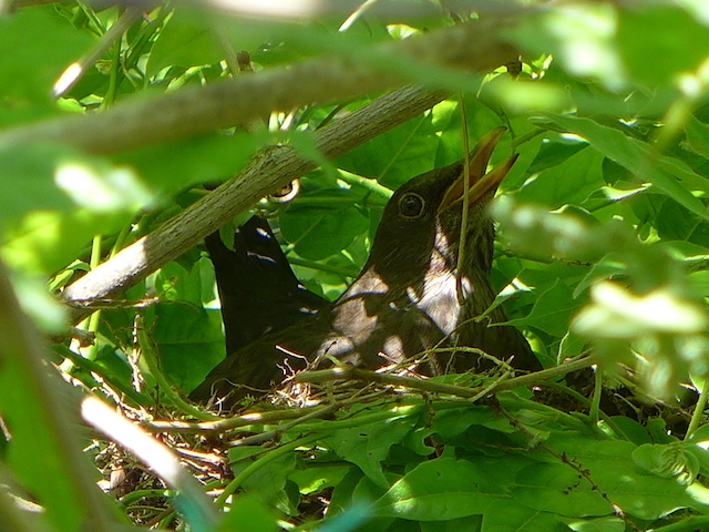c0197980_03553488.jpg