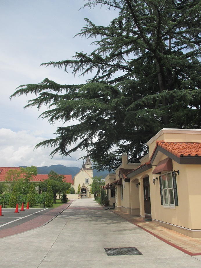 d0129083_22570615.jpg
