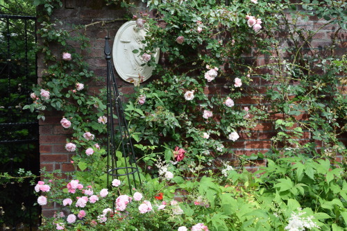 f0360784_14273454.jpg