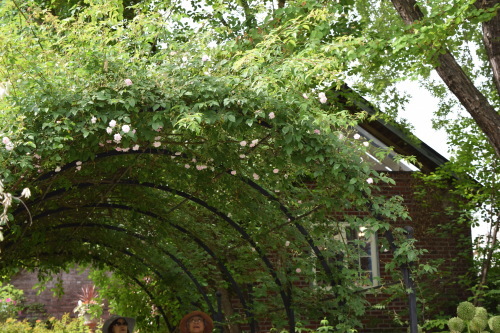 f0360784_14295168.jpg