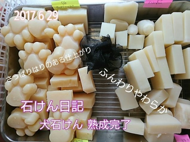 f0369087_10353772.jpg