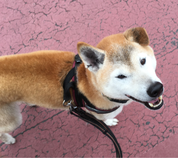 c0123890_20114368.jpeg