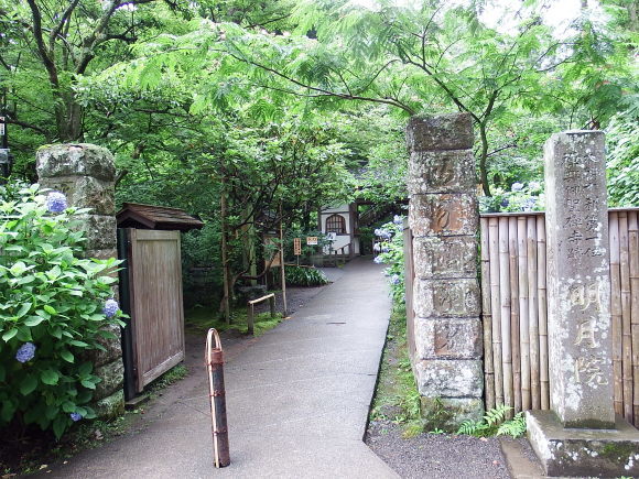 d0133791_18181953.jpg