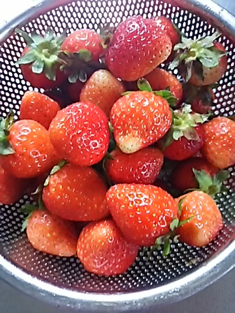 f0316507_16251388.jpg
