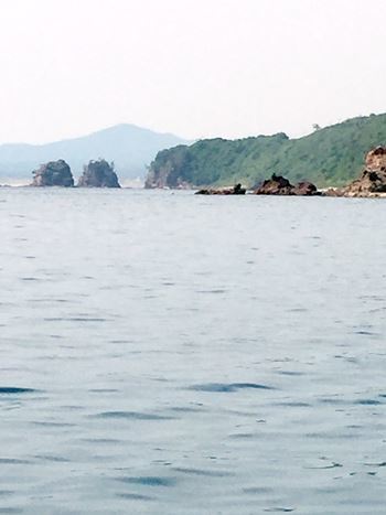 b0151911_15005850.jpg