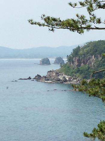 b0151911_15372363.jpg