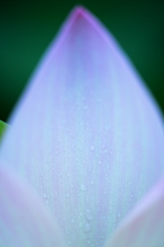f0032011_19165645.jpg