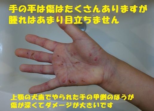 f0121712_15190679.jpg