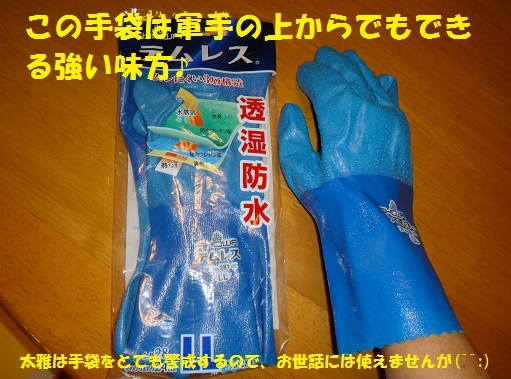 f0121712_15263622.jpg