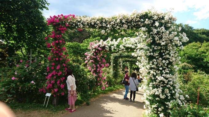 f0182618_20515898.jpg
