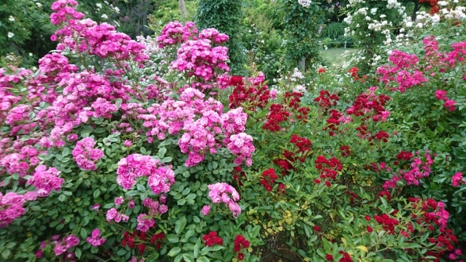 f0182618_20520867.jpg