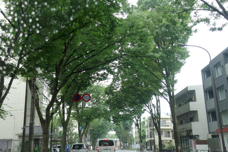 f0097523_15055134.jpg