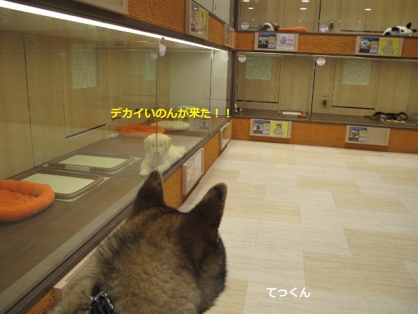 f0143123_09432490.jpg