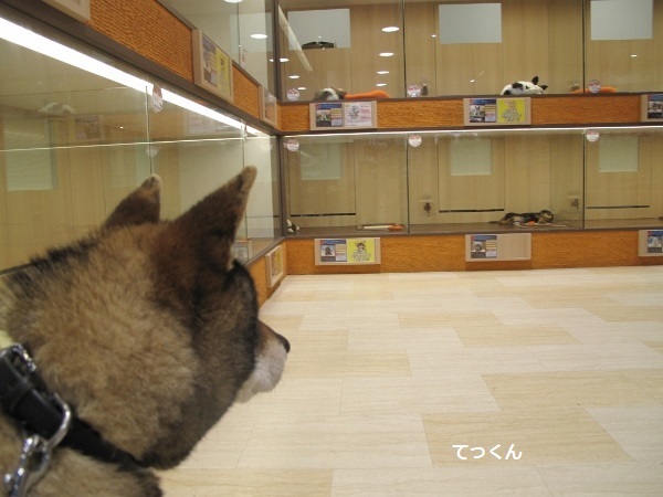 f0143123_09433009.jpg
