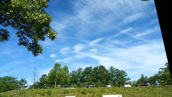a0123724_10225792.jpg
