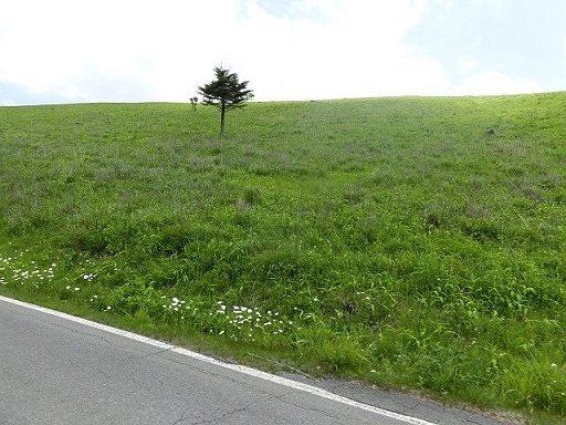 e0234924_09464480.jpg
