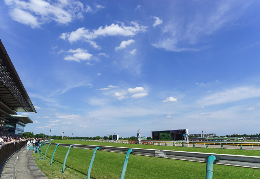 f0237034_13025784.jpg