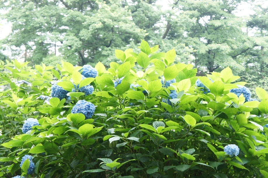 f0368538_14401271.jpg