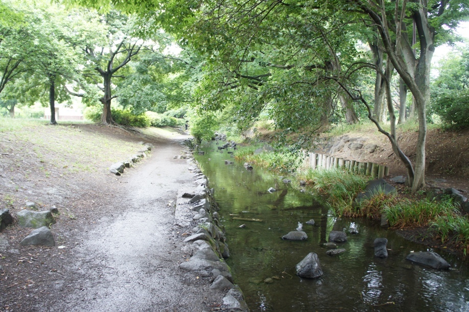 f0368538_14492665.jpg
