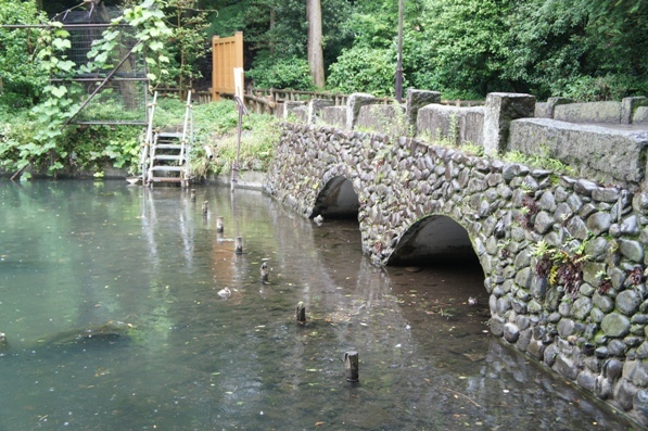 f0368538_14495757.jpg