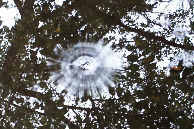 f0368538_14504209.jpg