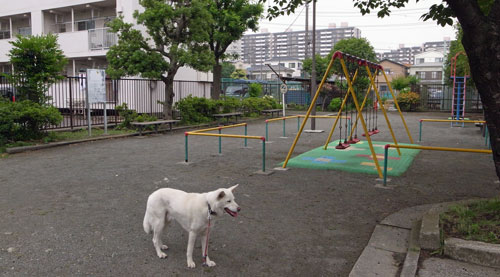 a0117039_046316.jpg