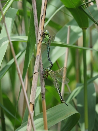 a0248540_11101589.jpg