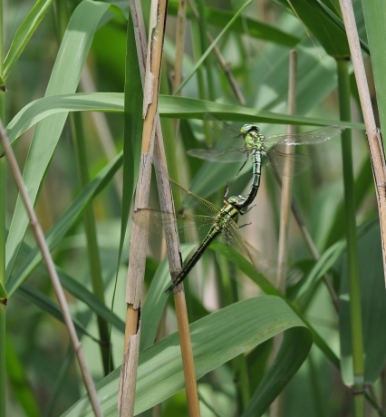 a0248540_11153851.jpg
