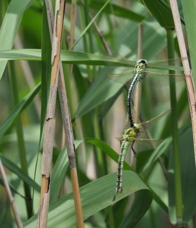 a0248540_11184055.jpg