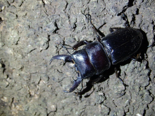 f0104042_2251266.jpg