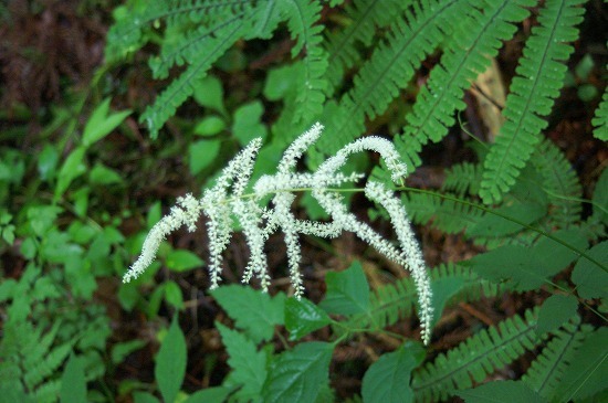 f0114346_08360607.jpg