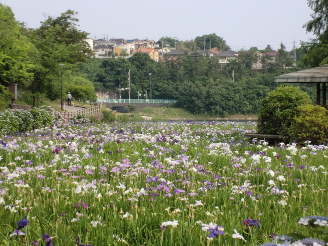 f0377348_15320690.jpg