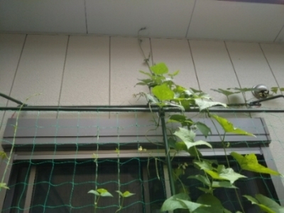 c0330749_13391330.jpg
