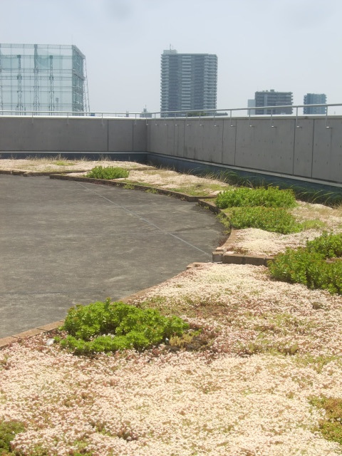 f0329849_23115581.jpg