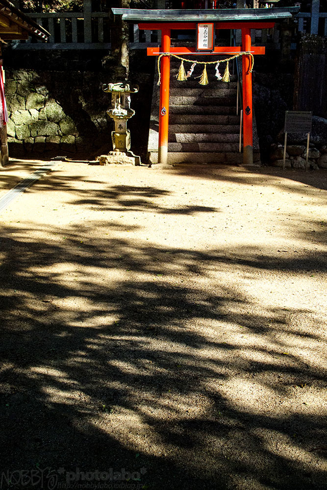 a0134950_05575074.jpg