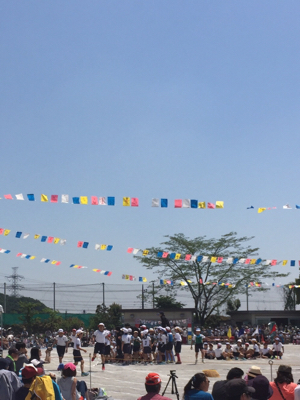 b0043452_16491827.jpg