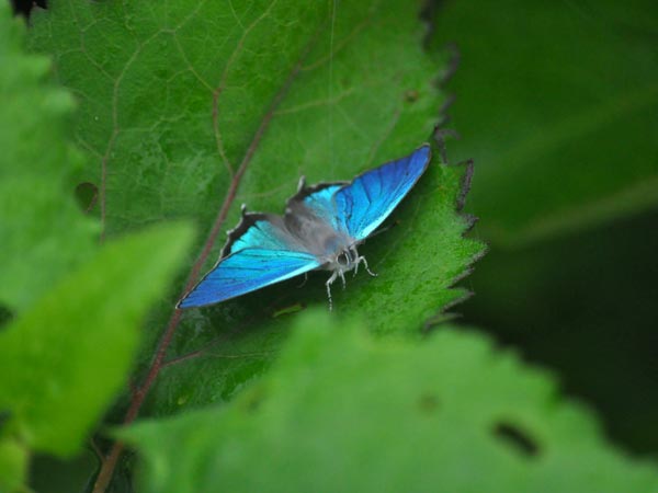 c0045352_18573477.jpg