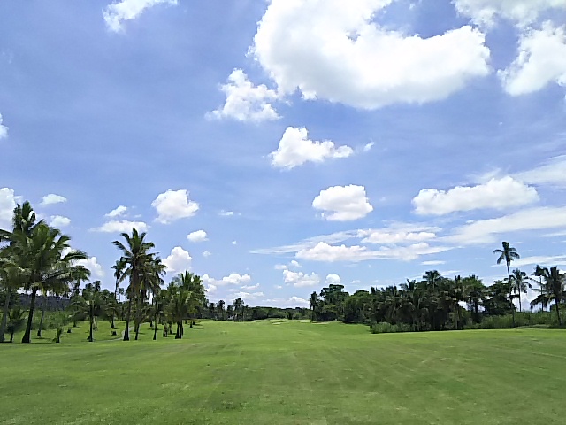 e0365652_22131843.jpg