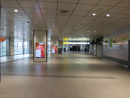 f0055956_1074279.jpg