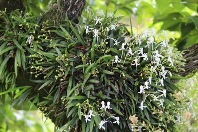 b0246758_13554004.jpg