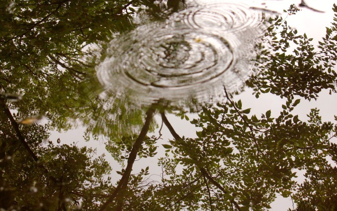 a0248459_14090062.jpg