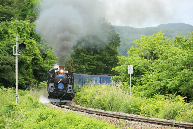 c0251759_16050500.jpg