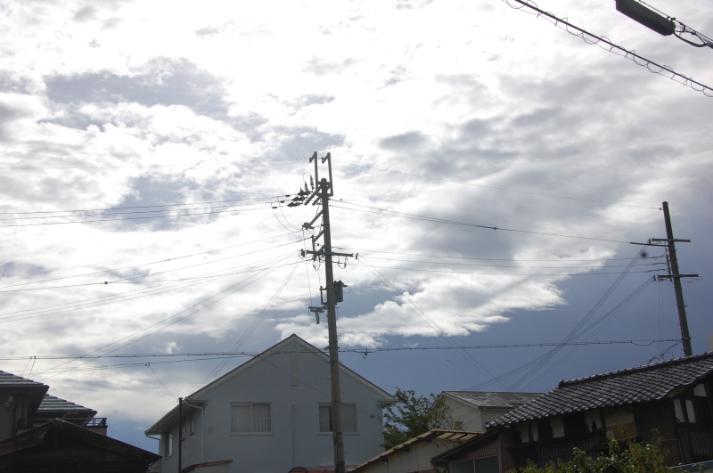 c0108460_20203391.jpg
