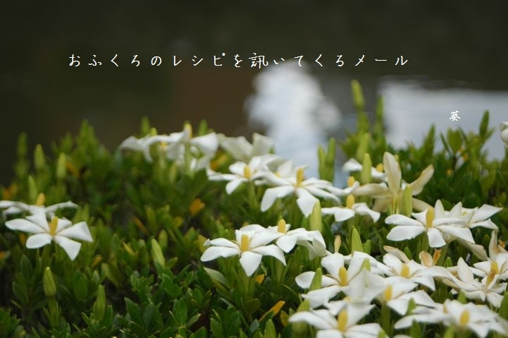 f0379160_12384205.jpg