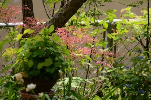 c0186463_20192720.jpg