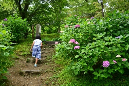c0303868_15404448.jpg