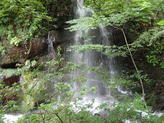 c0286574_173777.jpg
