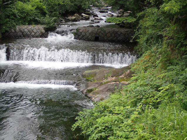 c0286574_17401010.jpg